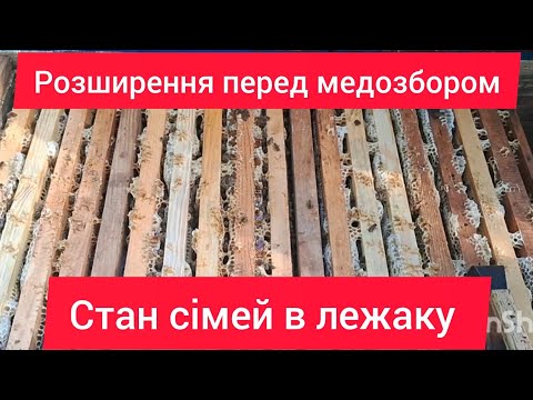 Видео: Розширення перед медозбором, вулик лежак стан сімей, акація