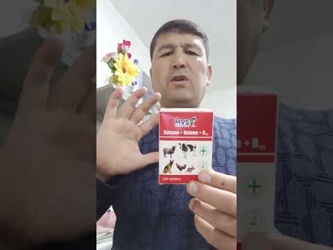 Видео: ХУ́РОЗИМ ХИРРЛАЯБДИ