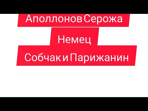 Видео: Аполлонов Серожа-немецка Рожа. Коты.