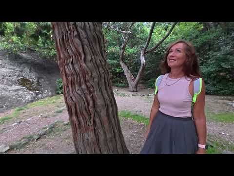 Видео: Крым Алупка Воронцовский парк