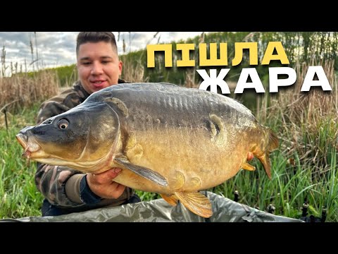 Видео: ЩОСЬ ДУРНЕ ТАКЕ, ЛЕДВЕ ВТРИМАВ🎣 РОЗДАЧА‼️ ПАРАВОЗИ‼️ ДУПЛЕТИ‼️ПІШЛИ ВА-БАНК⁉️Риболовля на 2 доби🌅