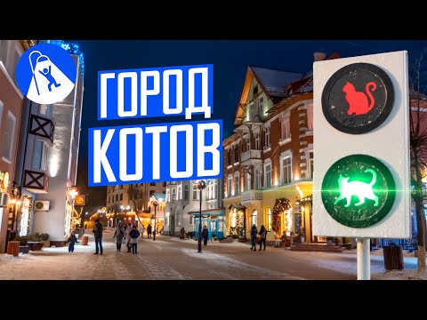 Видео: Зеленоградск — образцовый курорт. Проблемы Куршской косы.