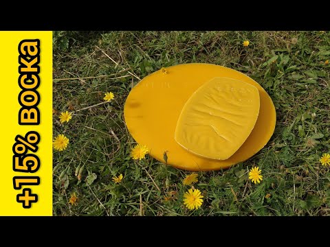 Видео: Добываю воск сверх плана! Сколько воска можно взять почистив рамки...