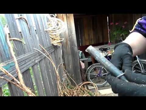 Видео: Чистка корня(Валентина Дощинская)