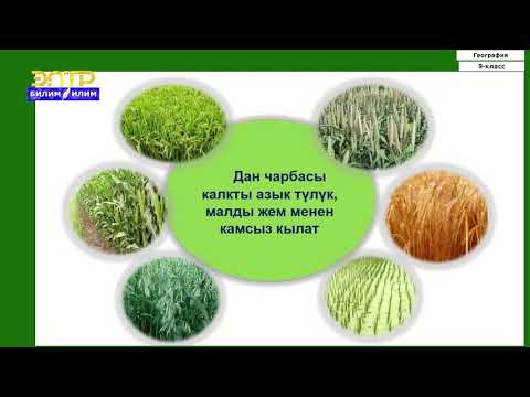 Видео: 9-класс | География | АӨК. Айыл чарбасы