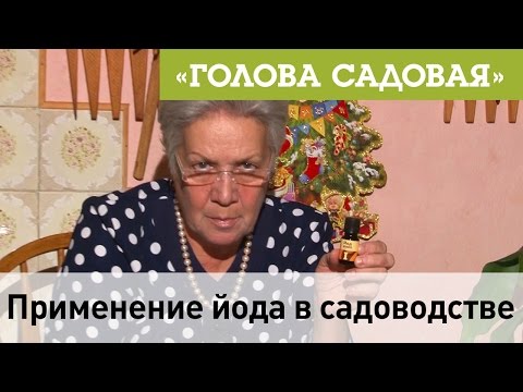 Видео: Голова садовая - Применение йода в садоводстве