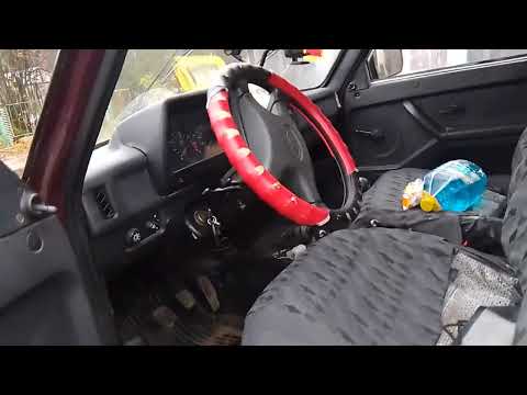 Видео: Дела огородные. Прибрала смородину, помыла машину.