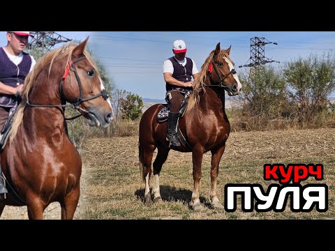 Видео: пуля КУРЧ ТЕЗ АТ