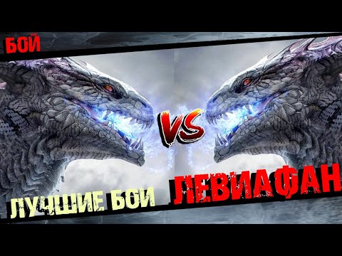 Видео: Божественный Левиафан против Сборник лучших боев