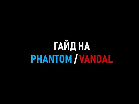 Видео: гайд на Phantom и Vandal для новичков