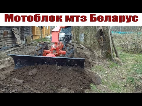 Видео: Мотоблок мтз Беларус 09Н: протестировал отвал на земляных работах!