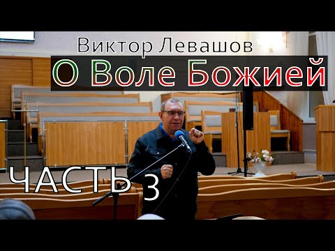 Видео: О Воле Божией | Виктор Левашов | Цикл бесед - часть 3
