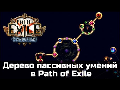 Видео: Дерево умений от А до Я. Гайд для новичков в Path of Exile.