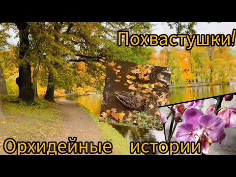 Видео: Принимаем в коллекцию новенькую! Прогулка по осеннему саду.