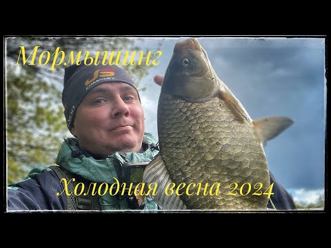 Видео: Мормышинг ! Холодный май 2024 !