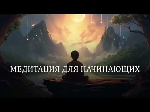Видео: Медитация для начинающих на каждый день