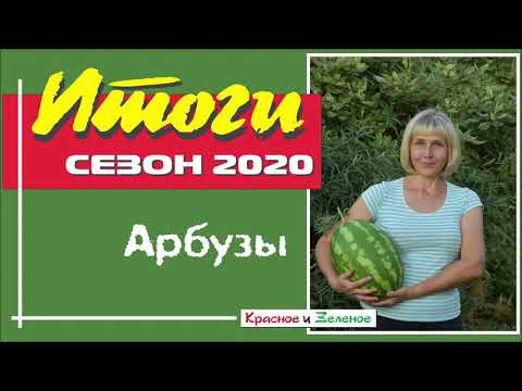 Видео: Арбузы 2020. Итоги удивительного сезона