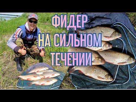 Видео: Фидер на СИЛЬНОМ ТЕЧЕНИИ. Ловля ЯЗЯ. Рыбалка 2020