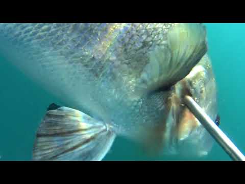 Видео: Большой Утриш 2018