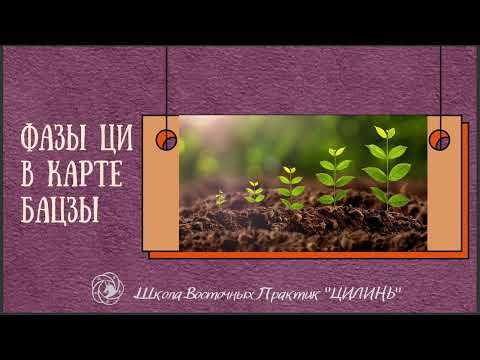 Видео: ФАЗЫ ЦИ В КАРТЕ БАЦЗЫ.