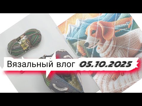 Видео: 1️⃣2️⃣Вязальный влог  05/10/25 /новые процессы, покупки, готовые работы продвижения, проектные сумки