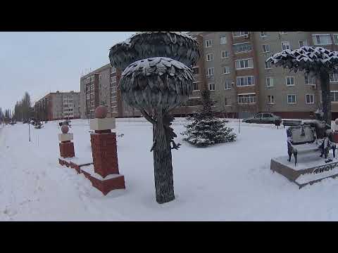 Видео: почему в лисках жить хорошо