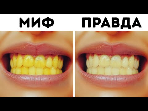 Видео: Миф или реальность: дикие случайные факты о прошлом