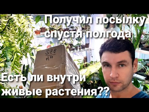 Видео: НОВИНКИ РАСТЕНИЙ /ПОСЫЛКУ ЖДАЛ ПОЛ ГОДА/ ЕСТЬ ЧТО ЖИВОЕ ВНУТРИ ?