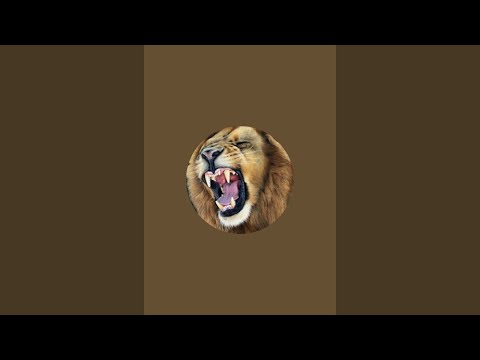 Видео: Шерхон в прямом эфире!