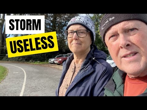 Видео: Никогда не ожидал этого от НОВОГО ЛЕСА