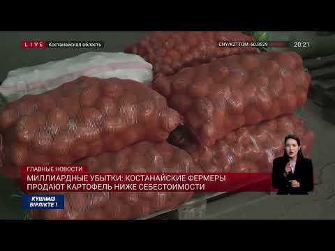 Видео: Миллиардные убытки: костанайские фермеры продают картофель ниже себестоимости