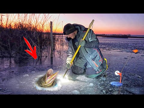 Видео: ОСТАВИЛИ ЖЕРЛИЦЫ на НОЧЬ... ПЕРВЫЙ ЛЁД!!! ЩУКА на КАЖДОЙ ЛУНКЕ!!! РЫБАЛКА на ЖЕРЛИЦЫ ЗИМОЙ