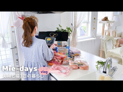 Видео: 2-дневные ужины с ингредиентами из Costco и новая посуда, жизнь с парой и 3 кошками