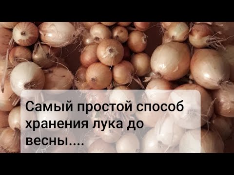 Видео: Луковые косы. Как сохранить лук до весны.