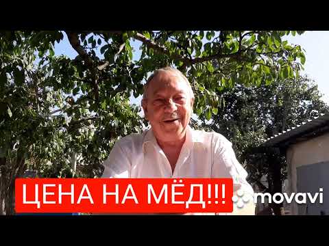 Видео: Цены на мёд. 