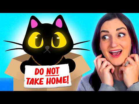 Видео: НЕ берите этого кота домой (но я забрал его домой)