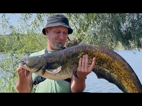 Видео: І тут як клюнуло😲 Вдала Риболовля з ночівлею