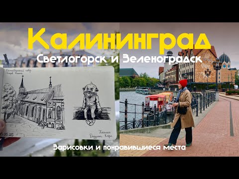 Видео: Калининград, Светлогорск и Зеленоградск глазами иллюстратора