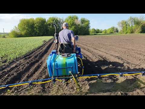 Видео: Оприскування гербіцидом картоплю Стомп 330 по картоплі. Мототрактор і саморобний оприскувач.