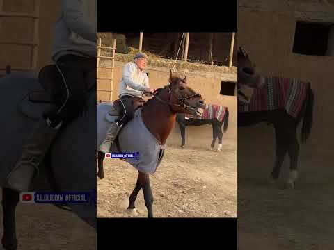 Видео: 2 ноября 2025 г.