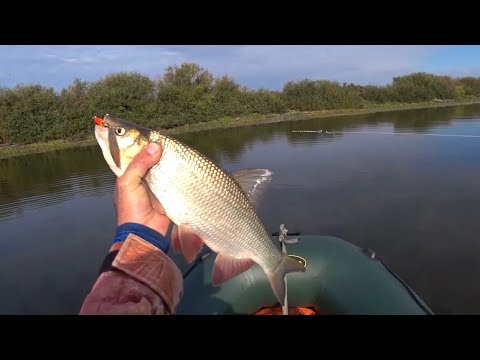 Видео: Семь дней на рыбалке ! Открылся по Язю !