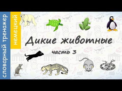 Видео: Животные на немецком. Дикие Животные. Часть 3