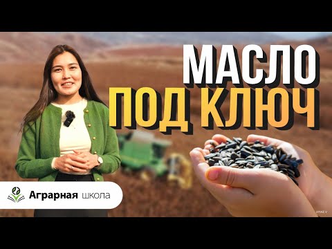 Видео: Как производят подсолнечное масло?