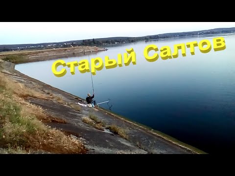 Видео: Рыбалка в Старом Салтове середина лета 2020