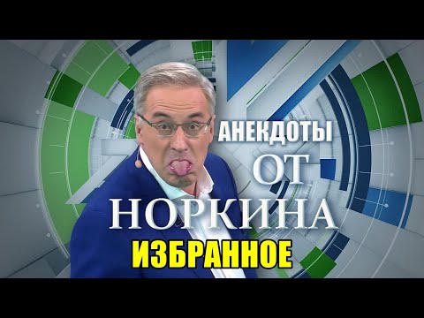 Видео: АНЕКДОТЫ от НОРКИНА. ИЗБРАННОЕ