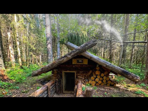 Видео: ВЕРНУЛСЯ В ЗЕМЛЯНКУ. УСТРАНЯЮ НЕДОЧЕТЫ. БОРЮСЬ С ГРИБКОМ