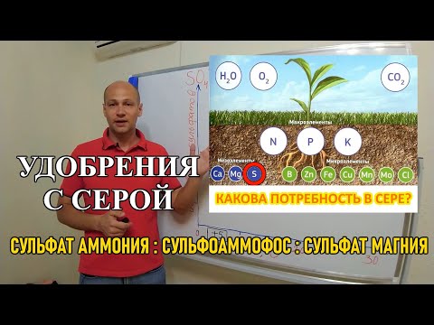 Видео: Стратегия применения удобрений с серой: сульфат аммония, сульфоаммофос, сульфат магния?