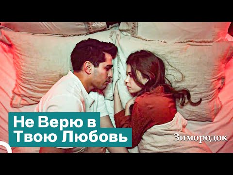 Видео: Признание в Любви От Ферита к Сейран | Зимородок