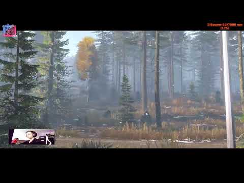 Видео: Тихий день в DayZ ❄️ Снег, костёр и баночка * 11.10 н*