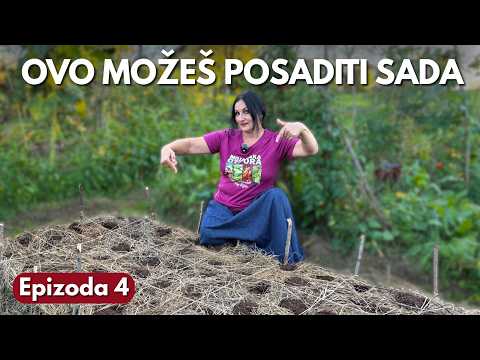 Видео: ПОСЕВНЫЕ СЕТИ: Много Еды С Одной Грядки - Зимний Сад Сер. 4